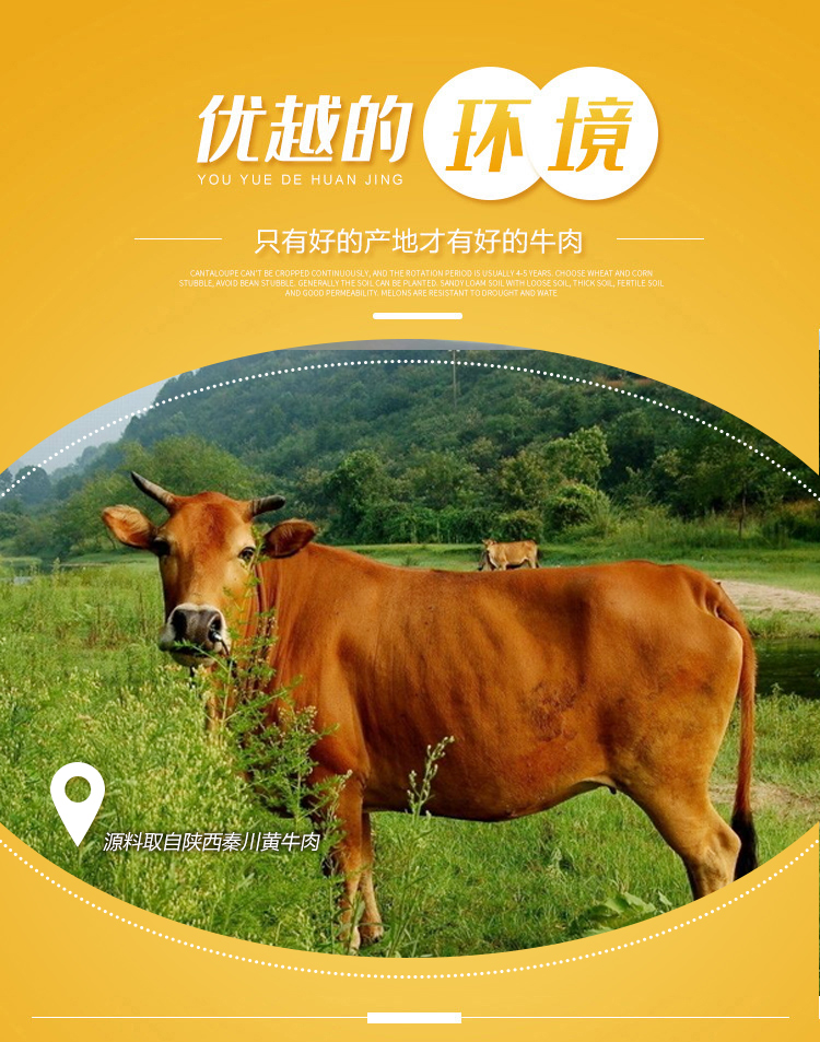 【乐力趣】牛腱肉150g